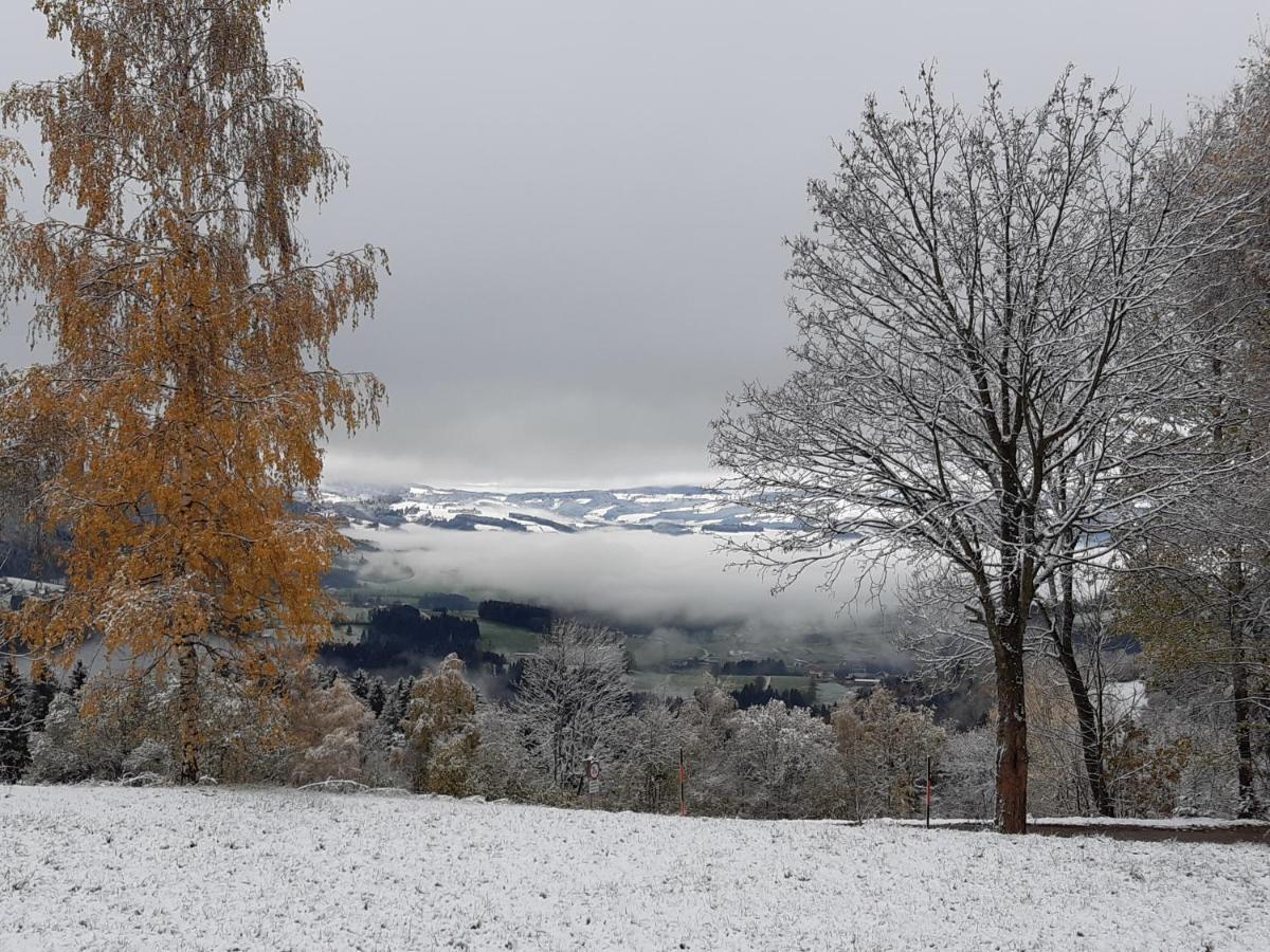 Winter´s Panoramahäuschen Ferienhaus
