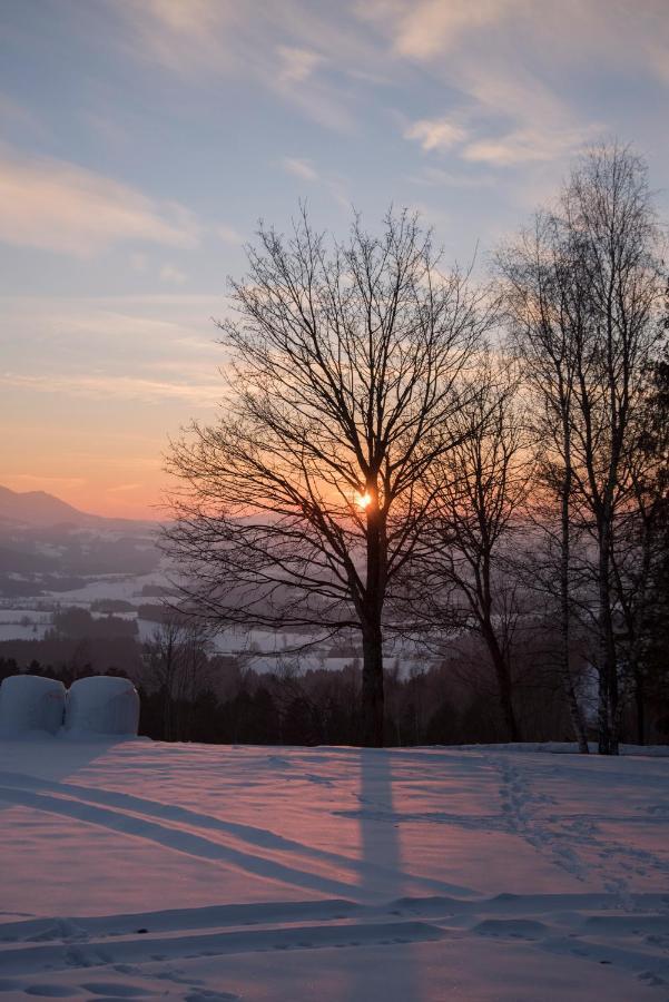 Winter´s Panoramahäuschen Ferienhaus *